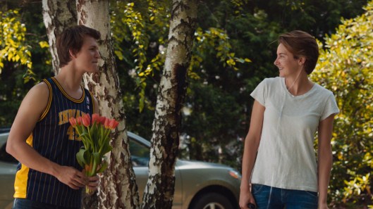 Fault in Our Stars, The - scene