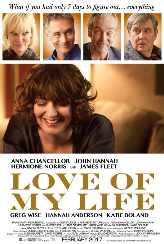 Love of My Life (2017) thedullwoodexperiment